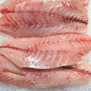 Frozen Tilapia Fish Fillet 2000 1000 Tons Sweden Wholesaler Customer Search Espaceagro