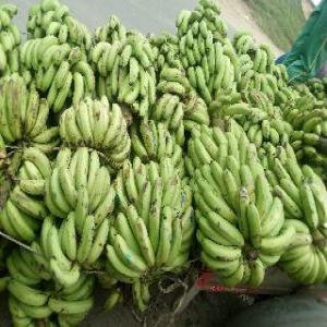 Fournisseur De Banane - fruits et légumes plusieurs tonne de banane des prix très attractifs. n'hésitez pas à prendre contact avec nous--notre produit et du banane bio,  qui et bien soigneusement bien traite pour satisfaire les client,  le banane de madagascar et le bonne qualité dans le monde,  en fournir de banane