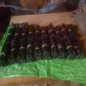  Vente De La Vanille Bourbon D'aux Comores - épices aromates  madame, monsieur, bonjour, -- je suis producteur de la vanille bourbon des comores. je fais l'import/export de la vanille  en france,  en suisse ,  au canada et partout en europe. je détiens également le numéro  rex qui vous facilitera le dédouanement de la marchandise.j'ai a