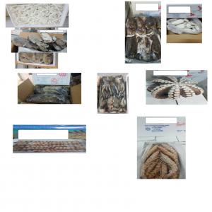  Poissons Congelee - poissons nous cherchons des clients fiable intéressés par des poissons congelé de type poulpe, seiche , crevette et crabe , origine tunisie et précieusement sud tunisie zarzis,  avec des forme bloc  et iqf . nous sommes disponibles pour répondre à vos besoin,  n'hé