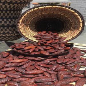  Looking For Buyers Of Tonka Beans From Venezuela - aromatic spices we import and trade coffee,  cacao,  cacao products and aromatic spices from different places,  especially  from latin america.  --we are offering tonka beans from venezuela? --origin- alto del caura,  bolivar state.--the tonka beans are produced by the indigenous community from cuenca del rio caura in 