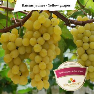  Grapes - fruits and vegetables fresh tunisian fig and prickly pear directly from our farms. if you are interested contact us !!--from our  farmers' to freight,  it remains maximum twenty-four hours 😉--p.s- its harvest period is in july--if you are interested contact us !!