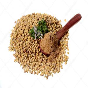  Graine De Coriandre - épices aromates je suis un producteur de graine de coriandre,  je cherche des clients pour exporter du maroc vers d'autres pays en europe. pour plus d'infos merci de me contacter par email.----