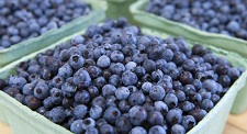  Myrtilles Sauvages Iqf - fruits et légumes bonjour,  nous récoltons des myrtilles en ukraine,  dans la chaine des carpates. nous cultivons/récoltons des baies biologiques ou conventionnelles comme les framboises,  groseilles,  cassis,  mûres,  et myrtilles. nous pouvons également les sécher. nous opérons su