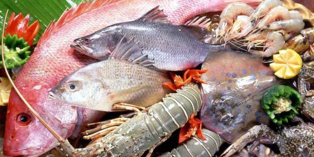  Poissonneries - poissons nous somme une société de négoce implantée à la tunisie et on fait la distribution des produits de poissonneries d'excellente qualité et d'autres produits 