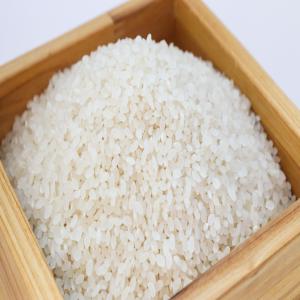  Vente En Gros Riz Thaïlandais - féculents très actif dans le commerce international,  l’import-export et le trade,  nous sommes une société basée en tunisie et au sénégal. nous disposons d’une large gamme de produits agroalimentaires essentiellement les denrées de première nécessi