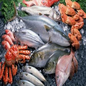  Vente De Plusieurs Variétés De Poissons - poissons je dispose journalierement de divers especes de poissons et de fruits de mers frais avec le rapport qualité/prix. je livre à la demande les commandes partout au sénégal.je cherche de nouveaux partenaires pour elargir mon portefeuille client. veuillez me contacter pour plu