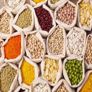  Légumes Secs - fruits et légumes on distingue les l&eacute;gumes secs ou l&eacute;gumineuses et les l&eacute;gumes verts. les l&eacute;gumineuses sont des plantes dont les fruits sont contenus dans des gousses. elles peuvent etre consid&eacute;r&eacute;es comme des f&eacute;culents car elles sont riches en amidon,  le glucide des v&