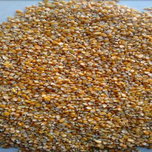  Cherche Fournisseur Pour Maïs Et Soya Et Cmv 1% - aliments pour animaux je cherche un fournisseur en europe ou argentine ou au brésil pour mon client en lybie.