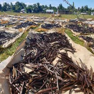  Appel D'offre Pour L'exportation De La Vanille - épices aromates très chères clients!--bonsoir, --avec immense plaisir de vous présenter la société ,  il s'agit d'une société activement sur les domaines des épices de madagascar (vanille,  girofle,  café,  poivre) qui a été crée en 2018