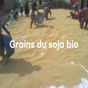  Soja Biologique Togolais Vendre - céréales les grains du soja que nous commercialisons sont collect&eacute;s aupr&egrave;s de nos propre producteurs que nous avons accompagn&eacute;s techniquement depuis le debut de la saison jusqu'aux r&eacute;coltes. ces produits sont de bonne qualit&eacute;,  respondant aux normes de production biologique 