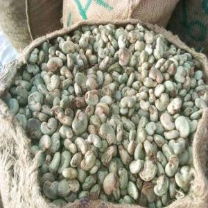  Vente Acajou Décortiqué - autres nous sommes une entreprise specialisée dans l'importation et exportation des produits tropicaux comme le soja ,  le mais,  l'acajou décortiquer et plusieurs diverses toutes personnes intèressés me contacte