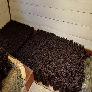  Vanille De Madagascar - épices aromates vanille gourmet de madagascar---retour possible de la marchandise en cas de non satisfaction du produit---v&eacute;rification par kg de la marchandise selon les condition d hygi&egrave;nes suivant le norme bio--- visite possible de l atelier de traitement de vanille en france--cat&eacute;gorie----va