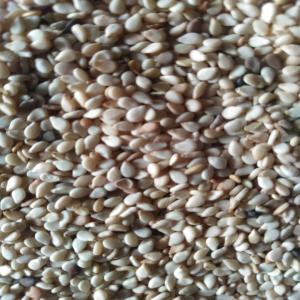  Sésame Blanc Et Bigarer, - céréales s&eacute;same made burkina faso,  qualit&eacute; irr&eacute;prochable avec tous les documents r&eacute;glement&eacute;.--prix n&eacute;gociable sur la quantit&eacute;...ou sur contrat annuel. nous sommes &agrave; votre disposition pour toutes questions.