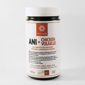  Additif Pour Volaille Très Efficice - aliments pour animaux nous mettons à votre disposition un produit innovant canadien qui renforce le système immunitaire des volailles ,  réduit le taux de mortalité à 1%,  en 28 jours,  donne déjà un poids de 1.6kg des coquelets.,  fait baisser les fortes odeurs dans les poula
