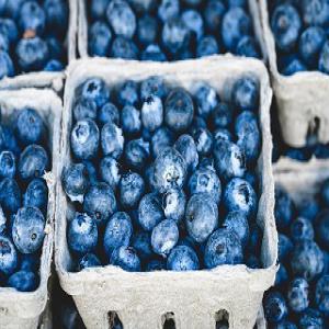  Myrtilles Sauvages Et Framboises Surgelées. - fruits et légumes bonjour,  nous faisons pousser des framboises en ukraine,  dans le centre du pays,  un endroit écologiquement préservé. nous pouvons offrir des framboises surgelées biologiques ou conventionnelles. les myrtilles sauvages sont récoltées dans les carpates. diff&e