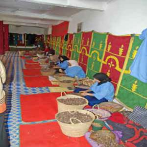  Argan, Figue De Barbarie Hv He Herbes Épices Bio - matiere vegetale nous sommes une société de distribution et marketing accompagne des coopératives agricoles spécialisées dans la production d’huiles d 'argan 100% bio cosmétique( gels douches,  gommage corps visage, shampoing, ect et alimentaire,  figue de barbarie. argile(verte
