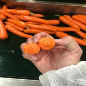  Carottes Extra Nouvelle Récolte - fruits et légumes bonjour--carottes extra nouvelle r&eacute;colte en espagne en conditionnement de 10kg et/ou 1kg. la qualit&eacute; est exceptionnelle.--nous travaillons depuis de nombreuses ann&eacute;es avec l'afrique de l'ouest et vous proposons un tarif cif . transport par conteneur maritime,  commande minimum 1 