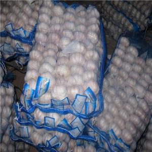  Fournisseur De L’ail Une Haute Qualité - épices aromates nous avons de l ail de taille 4.5; 5.5; 6; 6.5 cm--sacs de 5; 10; 20  kg selon le choix du client--prix cif - 420$ la tonne--dans un cont de 40pieds,  il y a 28 t--shipping 15jours--transport et assurance inclus