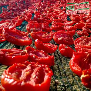  Cherche Des Clients Pour Tomate Séchée - fruits et légumes notre société est une entreprise de séchage des fruits et des légumes qui déploie tous ses efforts pour réunir et former une équipe des compétences capable pour vous fournir des produits de qualité qui répondent aux exigences et n