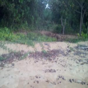  Magnifique Terrains Kribi Au Choix - mine terrain concession terrain plat pret à construire à kribi dans un quartier résidentiel .c'est une zone déja habitée,  lieu-dit mpangou-ebome situé à 500m maxi du goudron,  il y a plusieurs entrées. de là,  vous voyez le chateau d'eau; la base razel n'est pas 