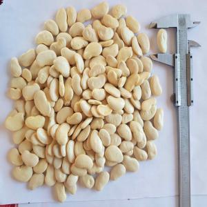  Cape Pease Mercy Category - fruits and vegetables cape pease of madagascar,  mercy category. --pois du cap de madagascar (pc mercy).--caliber- 26, 6mm--crop- 2019--available qty- 500 tonnes