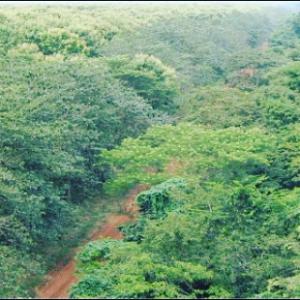  Projet Agricole - matiere vegetale je suis en quatrième année en sciences agronomiques et prince d'un village situé sur la commune de ouidah (république du bénin) en afrique de l'ouest.  j'ai l'ambition légitime de développer le secteur de l'agriculture et de l'élevage sur un va