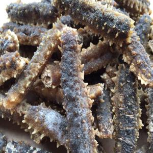  Dry Sea Cucumber Concombre De Mer Sèche - autres dry sea cucumber ( patallus mollis) lithuanian origin----product.- dry sea cucumber----scientific name.- patallus mollis----moisture.- from 90% to 95%----size.- 3cm to more // from 50 to 70 pieces per kilo----packing- paper bags of 25kg wrap in polypropylene----volumen - by month 12 tm----shipment- 