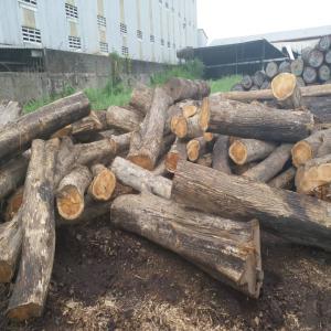  Bois De Teak En Grumes En Grande Quantité. - bois charbon fibre nous pouvons vous fournir sur une longue durée une grande quantité de teak allant de 1000 à 5000 m3 le mois.--nous disposons tous les documents légaux d'exportation requis que nous mettrons à votre connaissance en temps opportun.--le transporteur commis à ce