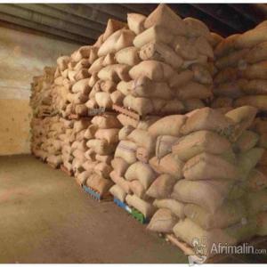  Noix De Karité - fruits et légumes noix de karit&eacute; disponibles au b&eacute;nin. nous sommes &agrave; la recherche des partenaires fiables,  s&eacute;rieux et dynamiques avec qui nous ex&eacute;cuterons des contrats &agrave; long terme.--