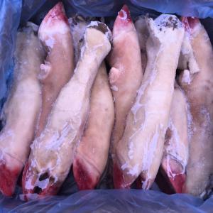  Halal Frozen Beef Feet - meat and eggs our company is an important slaughterhouse situated in spain (13300 valdepenas). now we are looking for customers interested in halal frozen beef feet. i will be waiting for your contact.