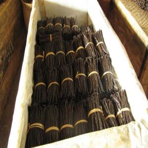  Je Cherche Acheteur De Vanille - publicité-nouveaux produits je cherche acheteur de vanille exportation  noir et rouge  et bien qualifier ,  caract&eacute;ristique th 30 0 35 ,  tv 1.1 ,  16cm gourmette--information -maroantsetra madagascar 