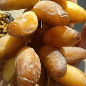  Dattes Algeria (deglat Nour - fruits and vegetables we are a leader in the marketing of algerian dates of all kinds,  especially the known deglet-nour.--we are very happy to deal with you in this field,  that we guarantee you the highest specifications of seriousness and credibility,  along with the best prices. ----we hope to be one of your main suppli