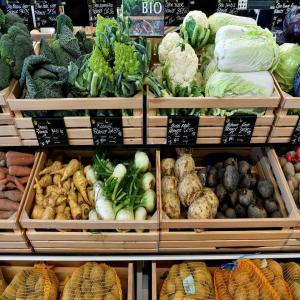  Produits Extra-primeurs Haut Rapport Et Qualité - fruits et légumes nous sommes des opérateurs dans le domaine des fruits et légumes,  nous cherchons à développer un projet porteur et rentable à l'export car nous espérons produire  bio . il s'agit d'un projet extensible à merveille d’où la région bén&eacu