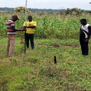 Vente de domaines agricoles à Djidja - mine terrain concession pour vos activités agricoles ou votre investissement en agriculture de grande echelle,  nous mettons à votre disposition des domaines agricoles à djidja. les terres fertiles et propices à toutes les cultures. 