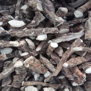  Acore Odorant (acorus Calamus L.) Séché - matiere vegetale bonjour,  je peux vous proposer l approvisionnement en mati&egrave;res premi&egrave;res m&eacute;dicinales s&eacute;ch&eacute;es d ukraine. --nous avons un large assortiment d'herbes s&eacute;ch&eacute;es,  de fruits et de racines- fleurs et baies de sureau noir,  baies d'argousier,  racine acore,  herbe