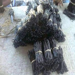  Vanille, Girofle, Haricot Madagascar - Industrie exploitation madagascar est la soci&eacute;t&eacute; a pour object d'exportation de produit locaux comme- la vanille (prioritaire),  girofle,  haricot,  atc ... et d'importation des machines comme- mat&eacute;riel informatique,  automobiles,  pi&egrave;ces d&eacute;tach&eacute;s d'auto-moto,   atc ... --ainsi que tout