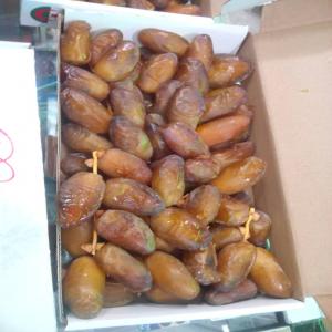  Fournisseur International Des Dattes Algérien - fruits et légumes fournisseur export import des dattes algérien; légumes et fruits égyptienne - supplier and export import of algerian dates; egyptian vegetables and fruits - lieferant und export import von algerischen datteln; ägyptisches gemüse und obst - proveedor e importación de exportación 