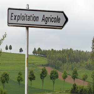  Accompagnement Gratuit Et Sur-mesure Au Burkina - mine terrain concession # pour faciliter la recherche d’un site agricole au burkina faso et vous mettre en relation avec un cédant potentiel,  contactez-nous pour bénéficier de notre expertise,  de notre positionnement stratégique d'intermédiaire et d'une connaissance aiguisée du ter