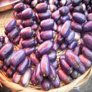  Prune - fruits et légumes exportation de 200 kg de prune autrement appelés safou ou atanga,  du cameroun au sénégal à commercialiser pour une phase test.