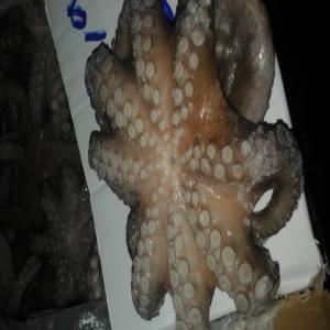  Poisson Frais Et Congele Du Senegal - poissons nous exportons du poisson frais et congelé du sénégal --nous disposons d'une chaîne de valeur de la plage a l’aéroport pour le poisson frais et a la mise en fob dakar pour le poisson congele.nous vous ferons une cotation quotidienne