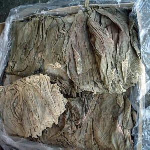  Omasum De Boeuf Salee - meat and eggs - bien nettoy&eacute;, ----- pas d'ecchymose, ----- pas de sang----- pas de mauvaise odeur, ------- sec,  humidit&eacute; inf&eacute;rieure &agrave; 5%,  100% frais et congel&eacute;