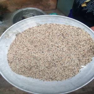  Graines De Sésame - fruits secs et graines grillées &agrave; vendre des tonnes de graines de s&eacute;same de bonne qualit&eacute; dans le nord du b&eacute;nin contactez moi pour plus de d&eacute;tails et sur les n&eacute;gociations 