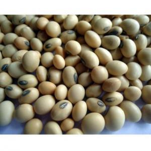  Soja - céréales le soja ou soja est une espèce de légumineuse originaire d’asie de l’est,  largement cultivée pour son haricot comestible,  qui a de nombreuses utilisations. le soja est utilisé traditionnellement dans les aliments sans soja,  notamment le lait de soja,  à partir duque