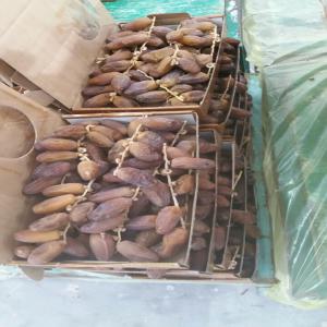  Deglet Nour Tunisienne (datte Meilleure Qualité) - fruits et légumes meilleur qualité des dattes tunisiennes --conditionnement 1 kg et 0.5 kg --possibilité de personnaliser l'emballage au choix (frais sup)--paiement en avance contre contrat.