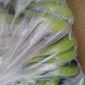 Bananes  - fruits et légumes bonjour,  je cherche des clients pour des bananes cavendish vertes (en cours de certification bio - certificat qui sera obtenu au mois d'octobre prochain). --dans l'attente de réponses positives. ----