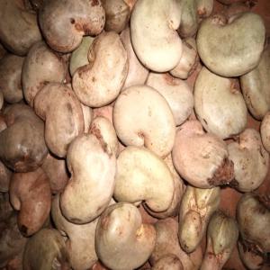  Les Pâtes Alimentaires, Merceries Et Médicaments - emploi représentation je suis à la recherche des partenaires pour établir un contrat de représentation avec eux afin de les représenter au bénin et dans tous les autres pays de l'afrique de l'ouest pour les acommpagner dans la promotions , distribution et vente de leurs- pâtes alim