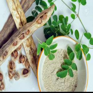  Moringa Bio - autres vente de graines de moringa, de feuilles et de gousses.je développé aussi une gamme de produits autour du moringa.je serai très intéressée par des potentiels financements.