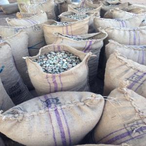  Noix D'acajou Bénin - fruits secs et graines grillées nous achetons de la noix d'acajou à cotonou. nous recherchons 300 tonnes,  paiement à la livraison. n'hésitez pas à nous contacté si vous avez du stock.