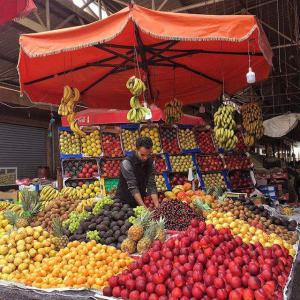  Vos Fruits Et Légumes De La Vallée Du Souss - fruits et légumes agadir est une station balnéaire très recherchée toute l'année pour son climat et ses plages mais c'est aussi la capitale de la région du souss,  terre fertile  verger du maroc .--nous garantissons des produits bons et beaux cultivés aux normes phytosanitaire
